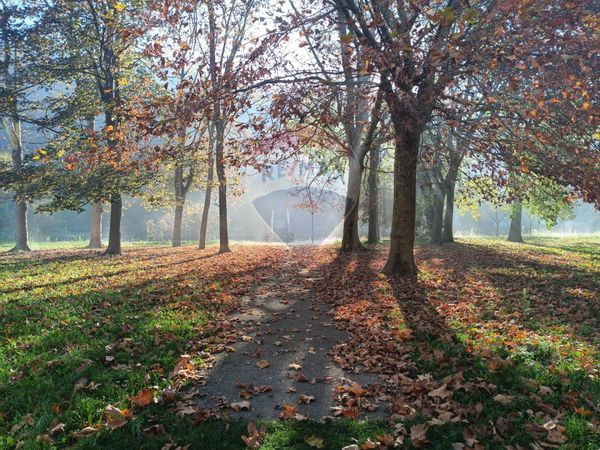 Appartamento Ferrania, Cairo Montenotte, SV Vendita - Foto 3