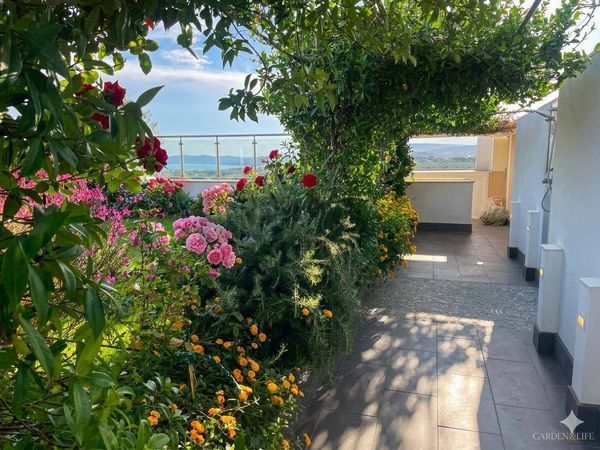 Attico/Mansarda Alghero, SS Vendita