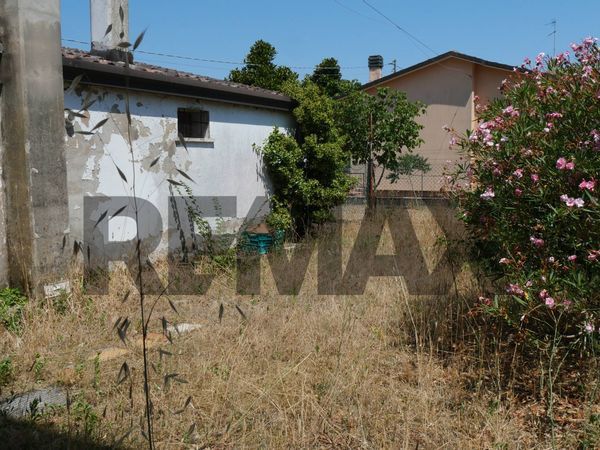 Casa Semindipendente Monticelli, Mesola, FE Vendita - Foto 4