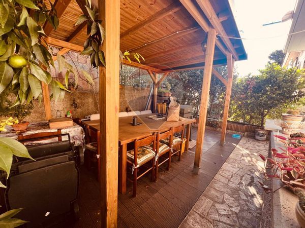 Casa Indipendente Bibbona, LI Vendita - Foto 4