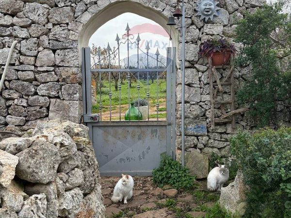 Villa o villino Putignano, BA Vendita - Foto 2