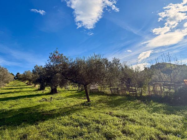 Terreno Edificabile Montesilvano, PE Vendita - Foto 4