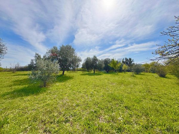 Villa singola Manziana, RM Vendita - Foto 3