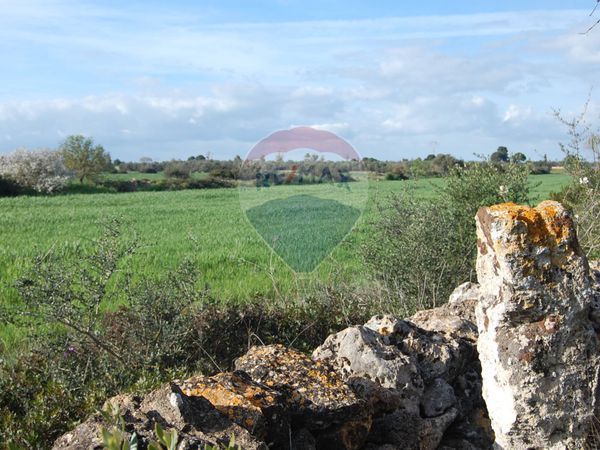 Casa Indipendente Porto Cesareo, LE Vendita - Foto 2