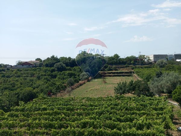 Villa singola Santa Venerina, CT Vendita - Foto 4