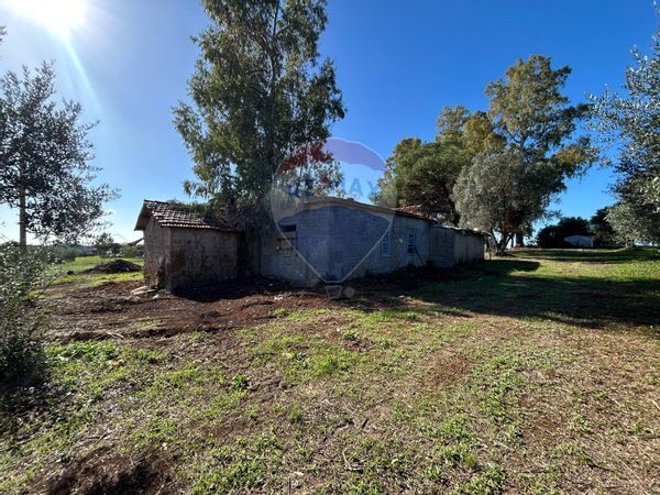 Cascina/Casale Velletri, RM Vendita - Foto 3