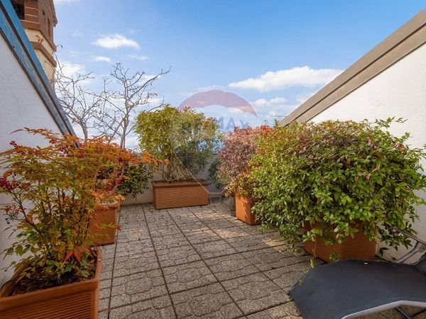 Attico/Mansarda Centro, Novara, NO Vendita - Foto 2