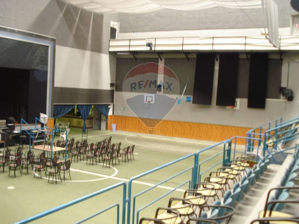 Capannone Industriale Lavinio Lido di Enea, Anzio, RM Vendita - Foto 3