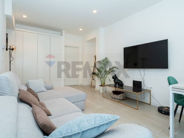 Appartamento Torino, TO Affitto