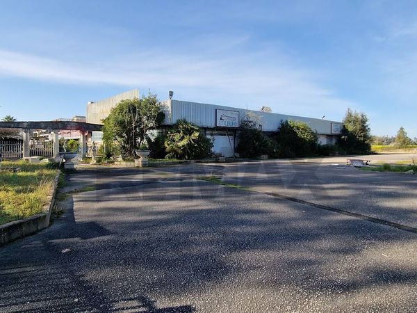 Locale Commerciale Zona Nord, Sabaudia, LT Vendita