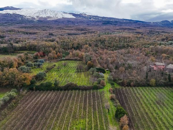 Terreno Edificabile Montelaguardia, Randazzo, CT Vendita - Foto 3