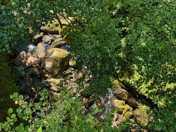 Rustico Valle Cannobina, VB Vendita - Foto 4