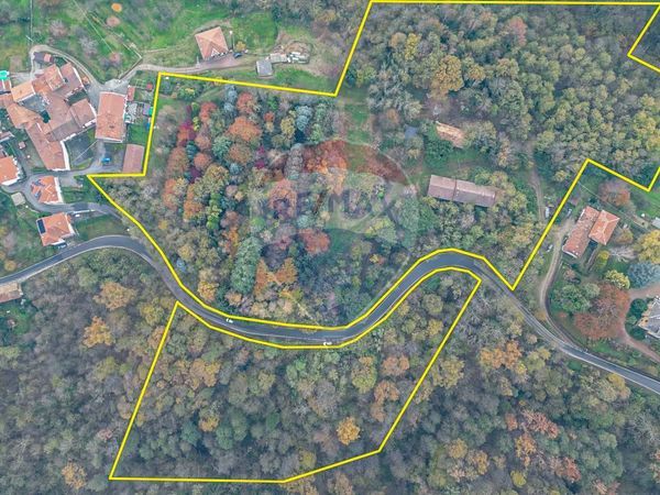 Cascina/Casale Strona, BI Vendita - Foto 2