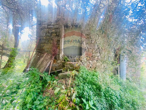 Rustico Manarola, Riomaggiore, SP Vendita - Foto 2