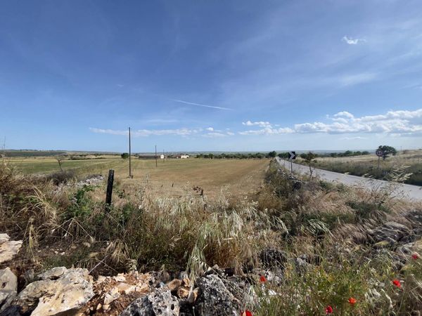 Cascina/Casale Santeramo in Colle, BA Vendita - Foto 2