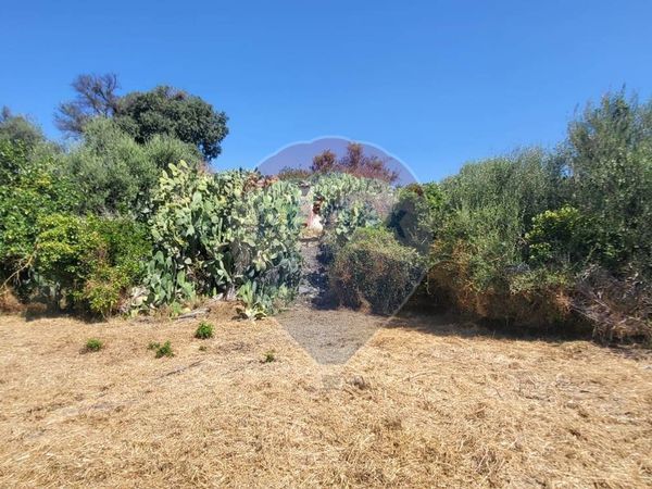 Terreno Edificabile Paternò, CT Vendita - Foto 2