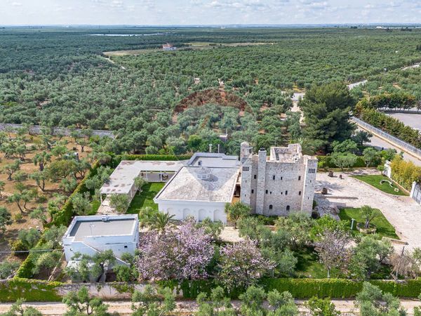 Stabile/Palazzo Giovinazzo, BA Vendita - Foto 4