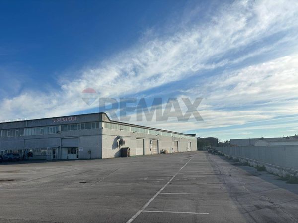 Capannone Industriale Pomezia, RM Vendita - Foto 4