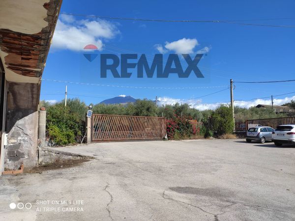 Magazzino Paternò, CT Affitto - Foto 3