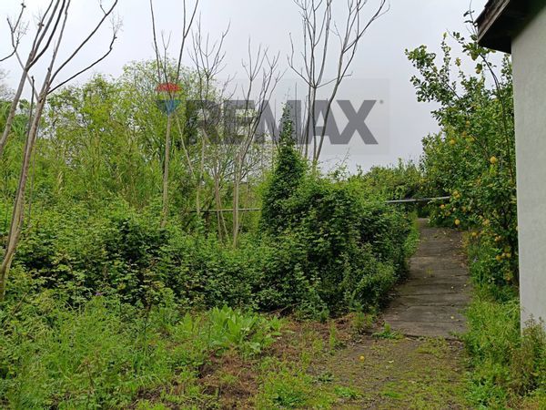 Casa Indipendente Nunziata, Mascali, CT Vendita - Foto 4