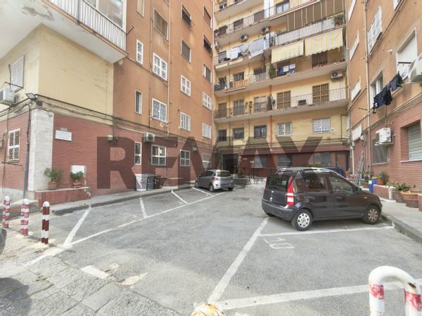 Appartamento Arenella, Napoli, NA Affitto