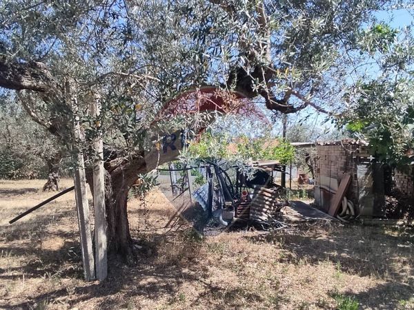 Casa Indipendente Rapattoni vecchio (Ventignano), Cepagatti, PE Vendita - Foto 3