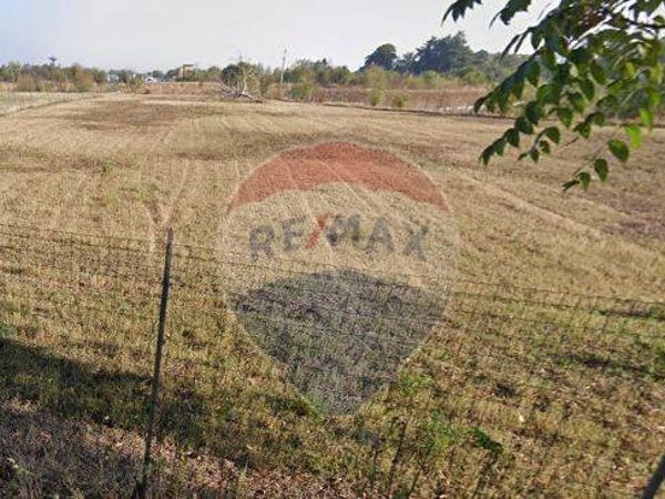 Terreno Industriale Spilamberto, MO Vendita - Foto 4