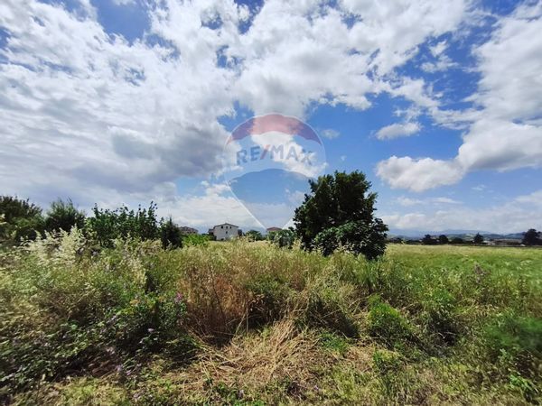 Terreno Edificabile San Marco Argentano, CS Vendita - Foto 4