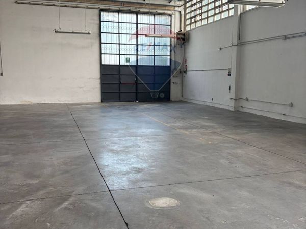 Capannone Industriale Coriano, Forlì, FC Vendita - Foto 2