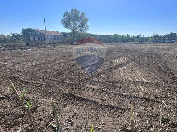 Terreno San Marco, Calatabiano, CT Affitto - Foto 3