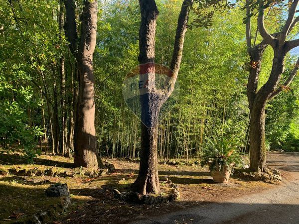 Villa singola Centro storico, Perugia, PG Vendita - Foto 2