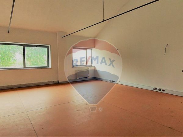 Negozio Monterotondo Scalo, Monterotondo, RM Vendita