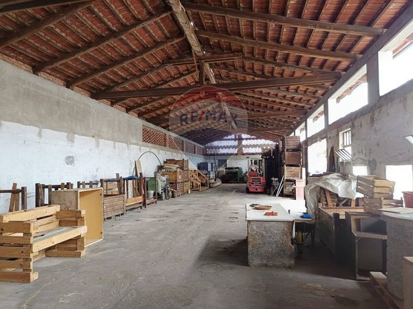 Capannone Industriale Casevecchie, Piscina, TO Vendita - Foto 3