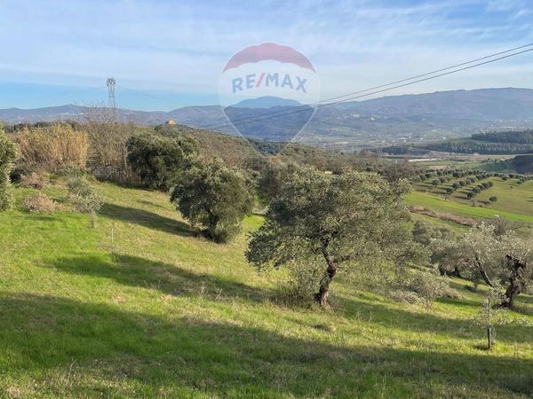 Terreno Marinello, Cervicati, CS Vendita - Foto 4