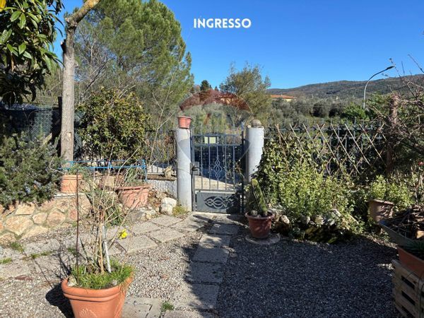 Villa singola Baccinello, Scansano, GR Vendita - Foto 4