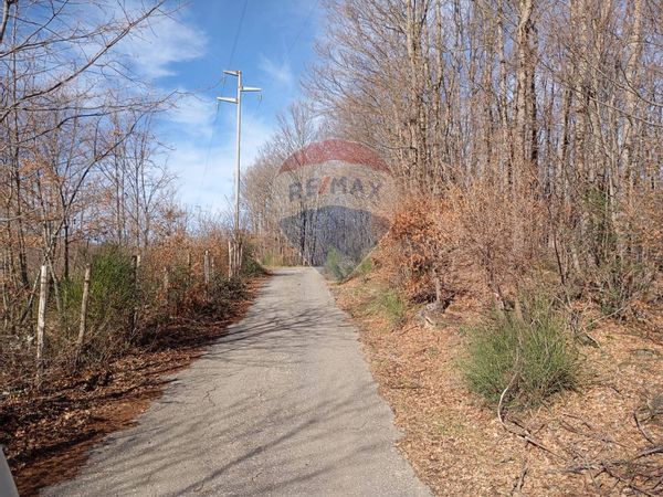 Terreno Santa Domenica Vittoria, ME Vendita - Foto 3