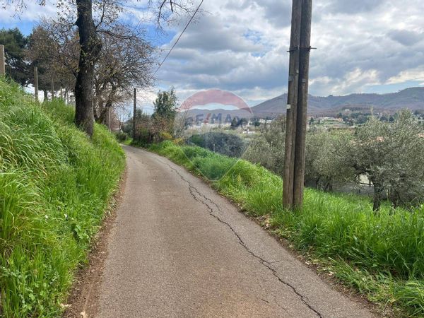 Terreno Colonna, RM Vendita - Foto 2