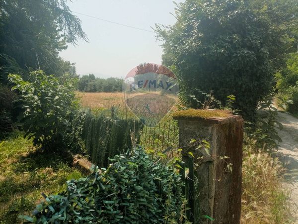 Cascina/Casale Lammari, Capannori, LU Vendita - Foto 4