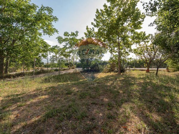 Appartamento Belvedere Ostrense, AN Vendita - Foto 3