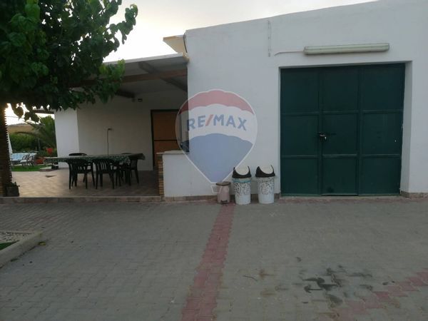 Azienda Agricola Caltagirone, CT Vendita - Foto 3