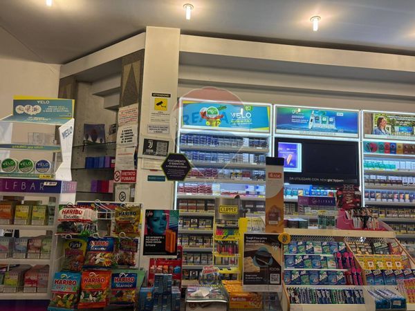 Commerciale Altro Semicentro, Vercelli, VC Vendita - Foto 2