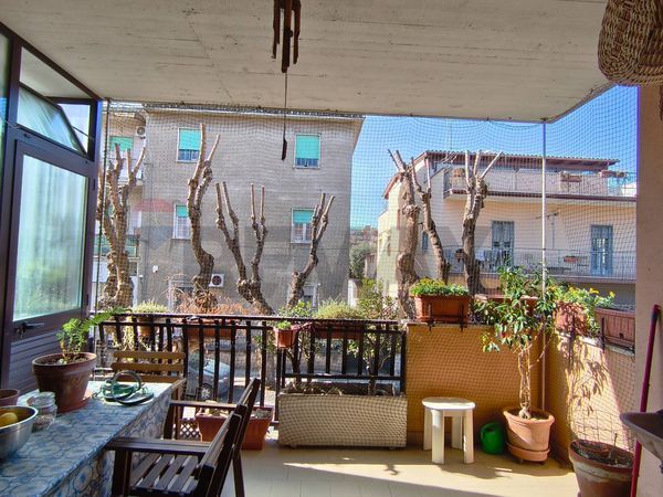 Appartamento Ladispoli, RM Vendita