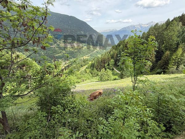 Rustico Comasine, Peio, TN Vendita - Foto 3