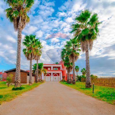 Azienda Agricola Copertino, LE Vendita - Foto 2