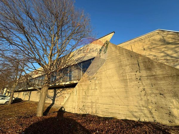 Locale Commerciale Buscate, MI Affitto