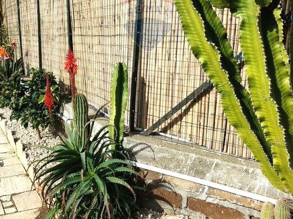 Appartamento Montalto Marina, Montalto di Castro, VT Vendita - Foto 2