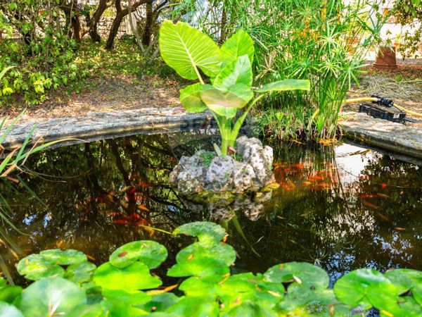 Villa singola Filgheddu, Sassari, SS Vendita - Foto 4