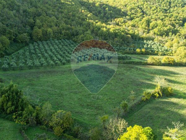 Cascina/Casale Borgo San Lorenzo, FI Vendita - Foto 4