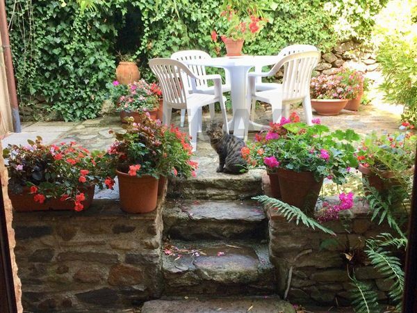 Casa Semindipendente Pieve Di Compito, Capannori, LU Vendita - Foto 2