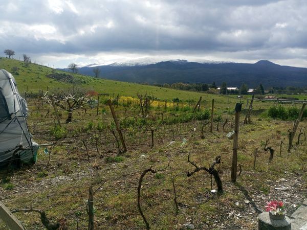 Rustico Randazzo, CT Vendita - Foto 3